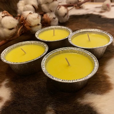 HotStar 4 Pieces | Candles in Pure Soy Wax, CITRONELLA Scented| Burning 20 Hours Each | ALU-PACK | Size mm60x85x36